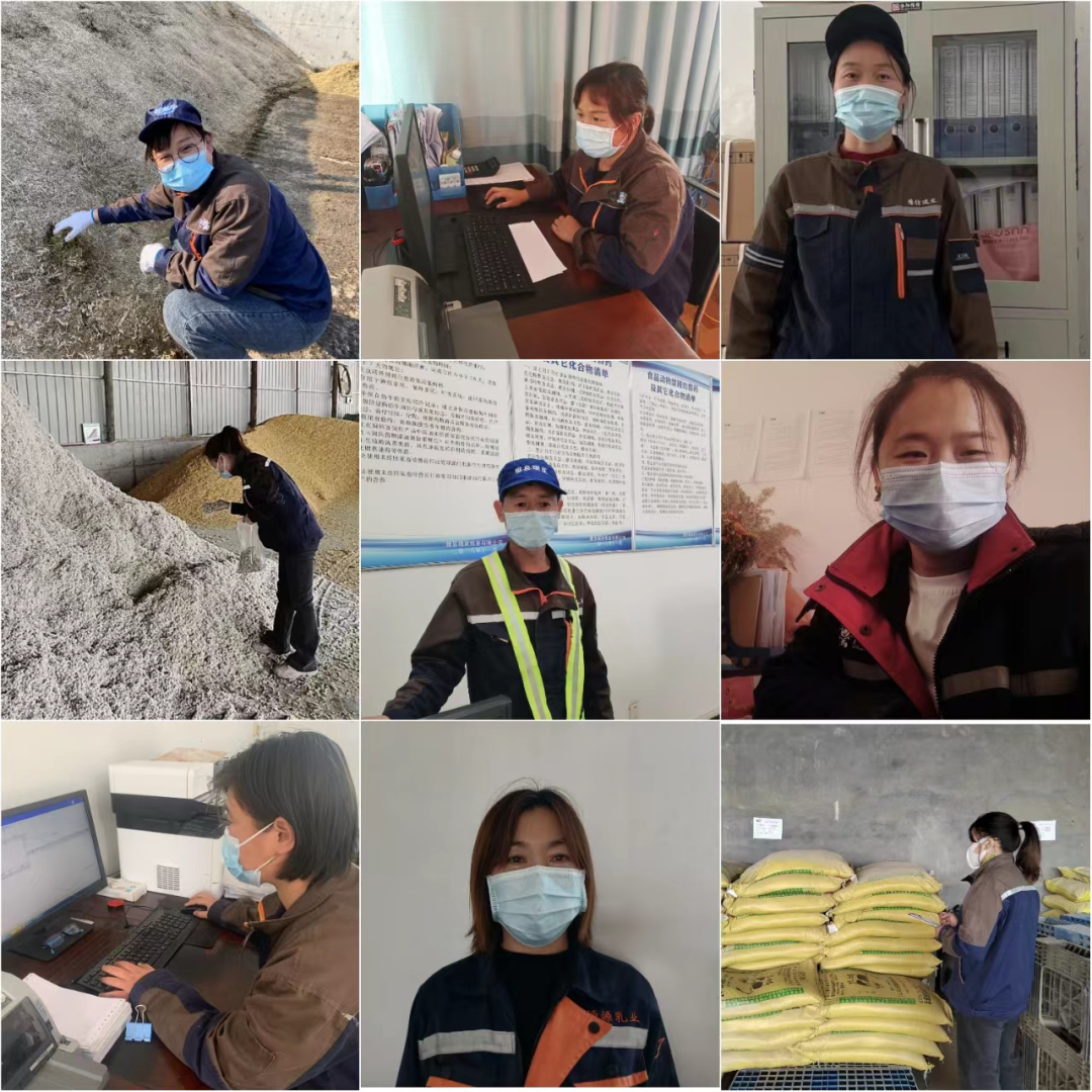 华体平台_华体（中国）一站式服务平台丨点点微光汇星河——养殖事业部抗疫保生产侧记