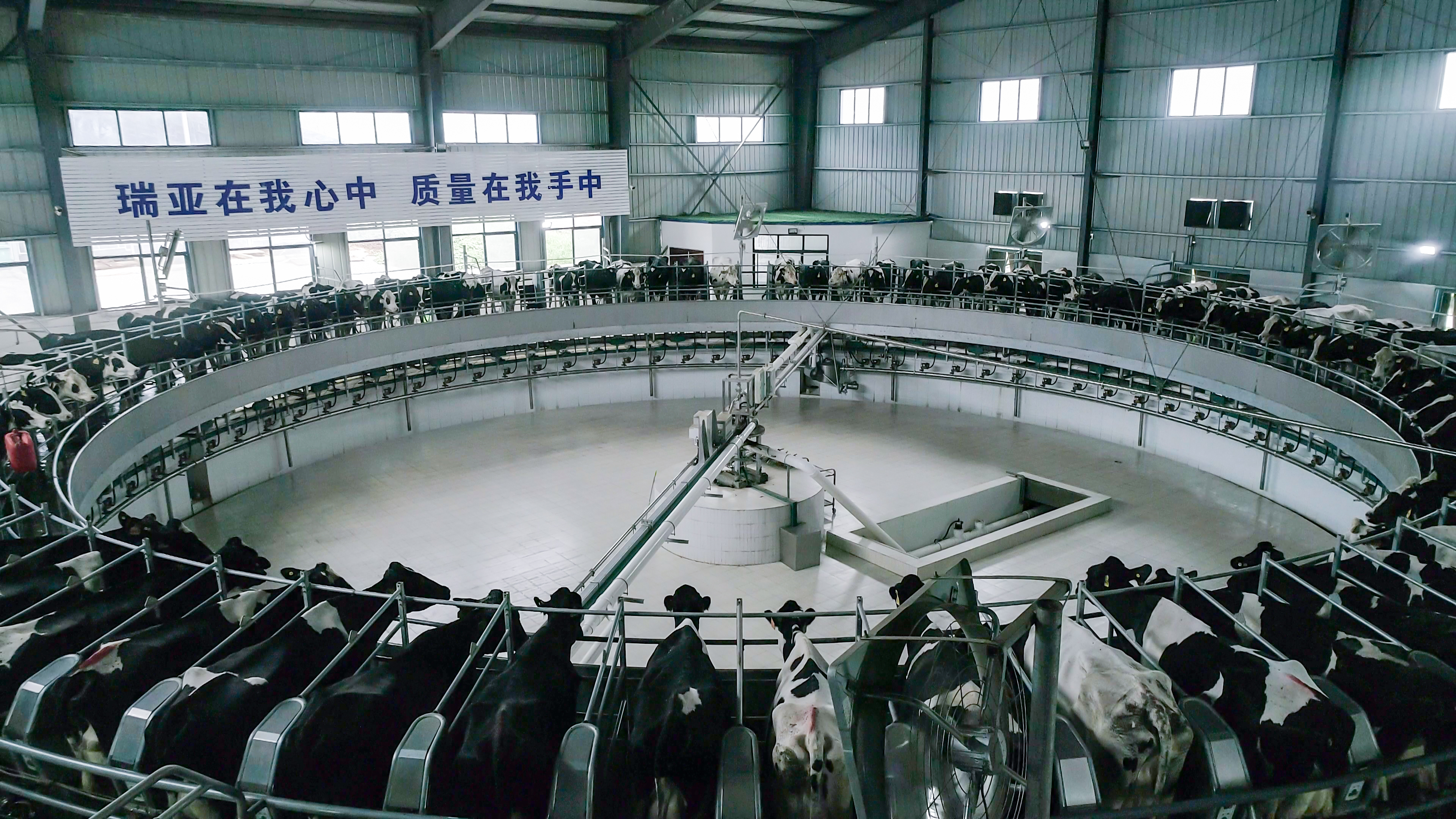 河南省人大常委会党组书记、副主任孔昌生莅临华体平台_华体（中国）一站式服务平台鲁山瑞亚牧场参观调研