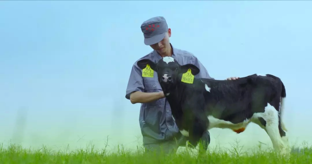 河南省人大常委会党组书记、副主任孔昌生莅临华体平台_华体（中国）一站式服务平台鲁山瑞亚牧场参观调研
