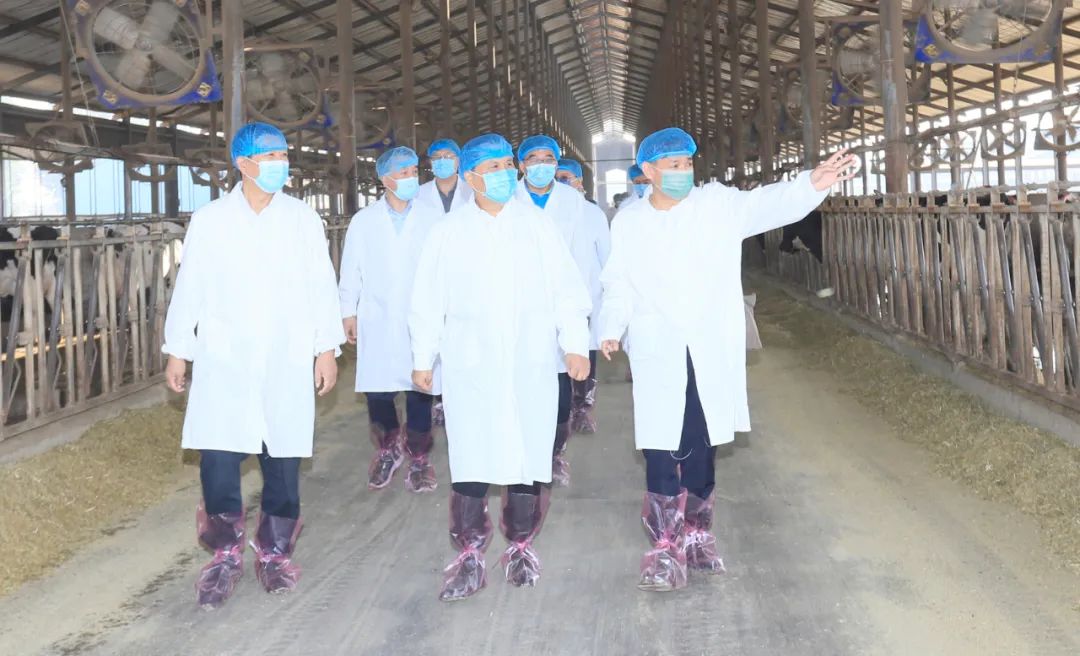 快讯丨河南省人民政府副省长武国定莅临华体平台_华体（中国）一站式服务平台乳业集团瑞亚牧业调研奶源基地建设情况