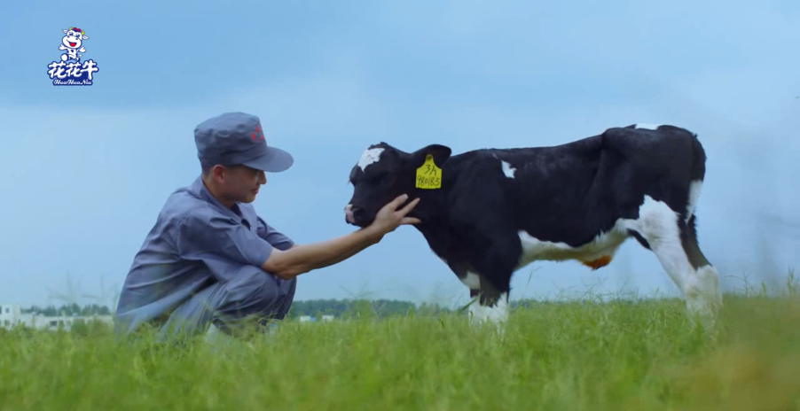 继往开来 · 再创辉煌 | 华体平台_华体（中国）一站式服务平台乳业集团召开9月营销、养殖及饲料月度经营工作会议