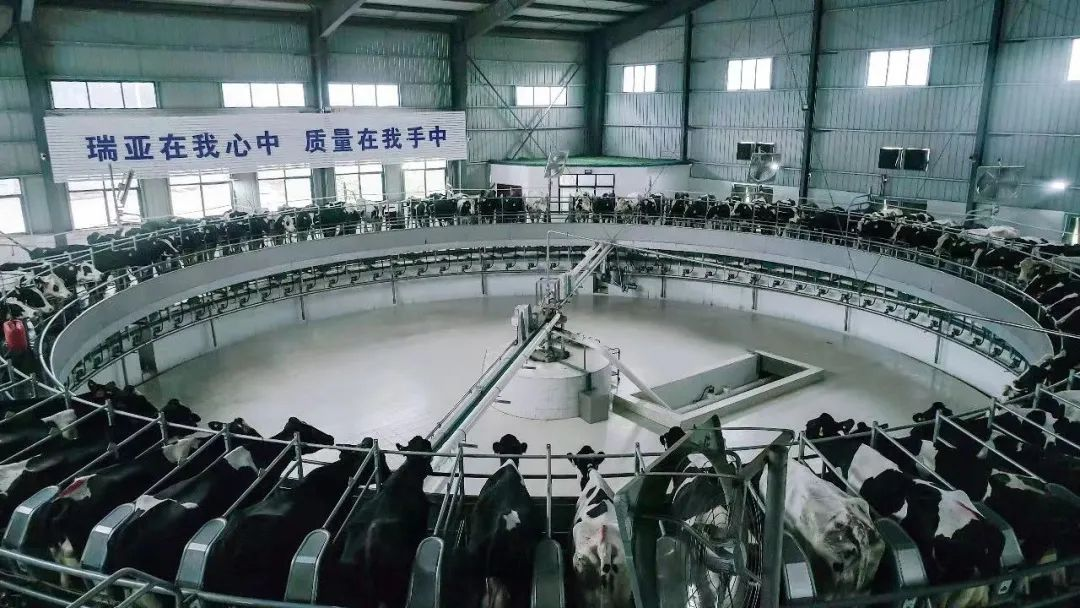 华体平台_华体（中国）一站式服务平台 | 河南瑞亚牧业入选“河南省畜禽核心育种场”