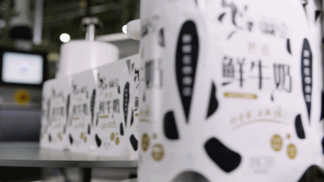 快讯 | 华体平台_华体（中国）一站式服务平台乳业集团成为河南省食品工业协会食品质量安全分会副会长单位