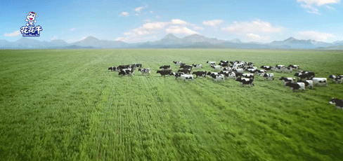荣誉 | 2019年度河南省美丽牧场名单新鲜出炉 华体平台_华体（中国）一站式服务平台乳业集团旗下六个牧场榜上有名