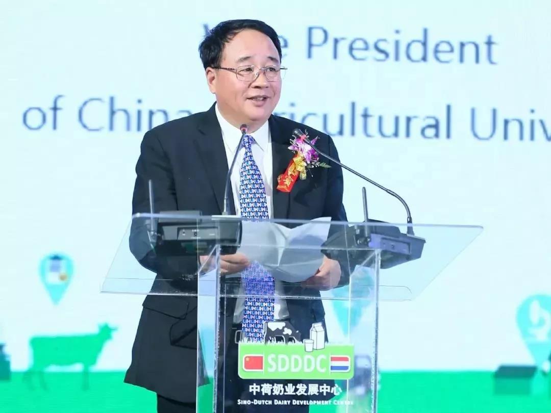 SDDDC走进河南，看看华体平台_华体（中国）一站式服务平台的国际范儿！