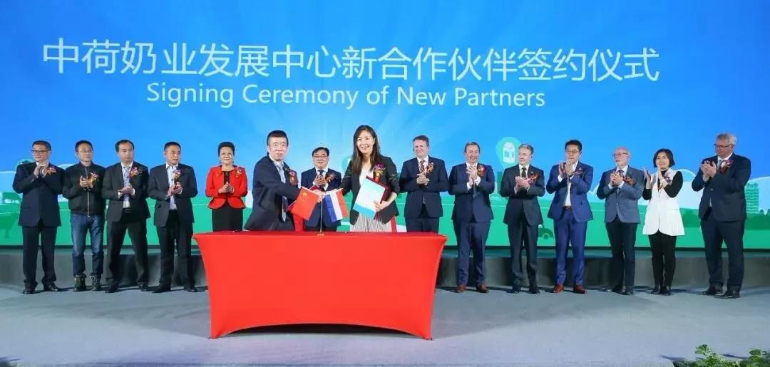 SDDDC走进河南，看看华体平台_华体（中国）一站式服务平台的国际范儿！