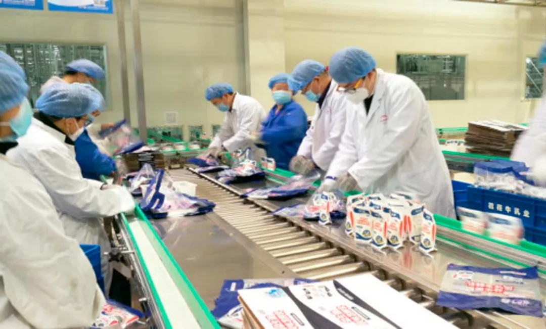 快讯丨河南省副省长武国定莅临华体平台_华体（中国）一站式服务平台乳业集团调研重点保障企业复工复产情况