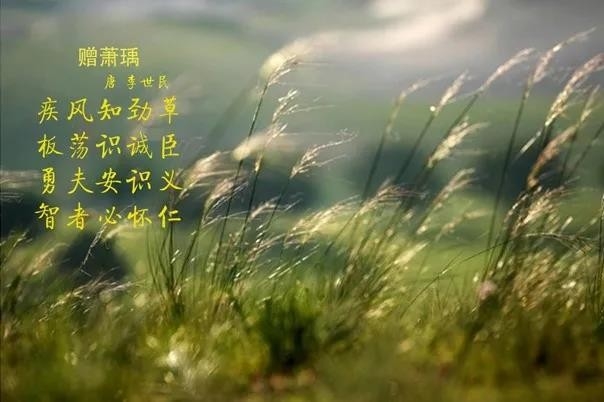 华体平台_华体（中国）一站式服务平台 | 疾风来临，你是不是劲草？